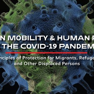 human rights in the covid-19 pandemic