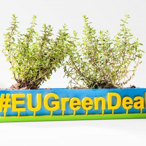 European Green Deal